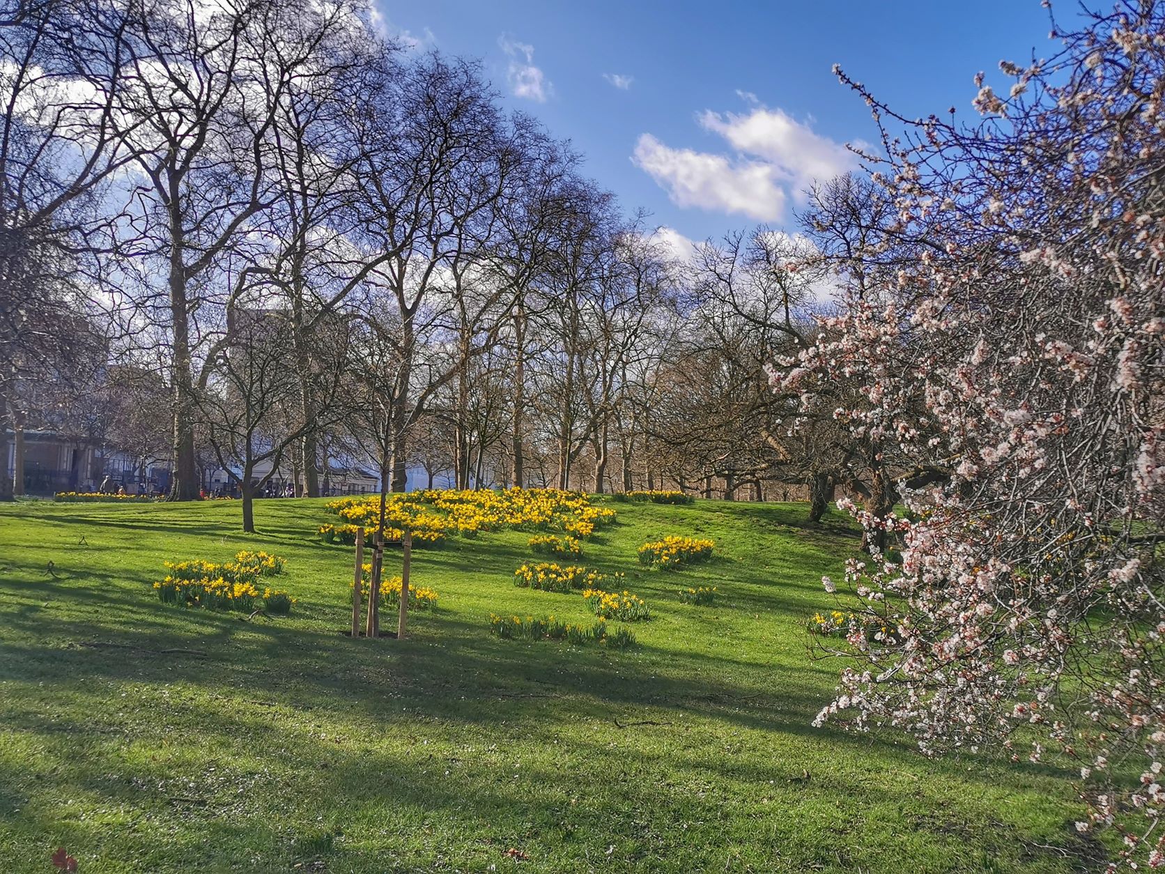 kensington garden london traveladdict