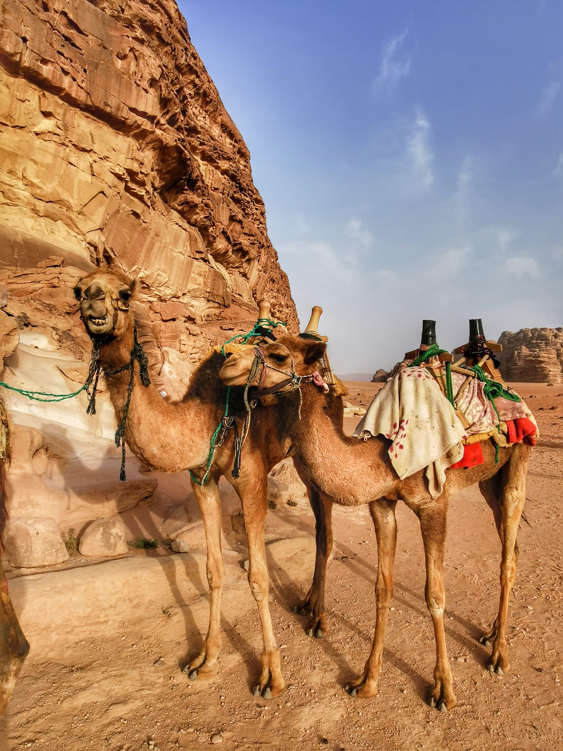 jordan wadi rum desert traveladdict